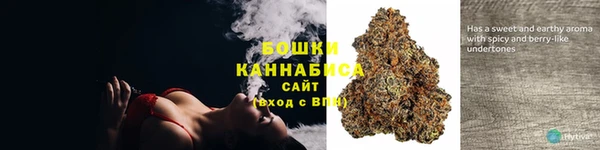 гашик Арсеньев