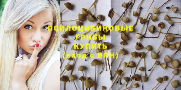 бутик Аркадак