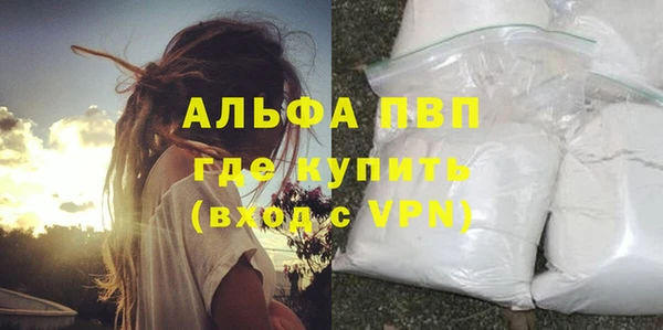 гашик Арсеньев
